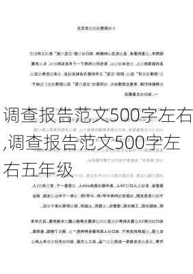 调查报告范文500字左右,调查报告范文500字左右五年级