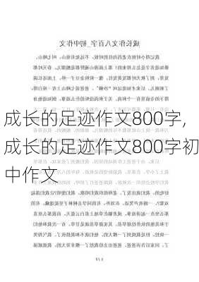 成长的足迹作文800字,成长的足迹作文800字初中作文