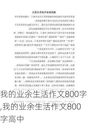 我的业余生活作文800字,我的业余生活作文800字高中