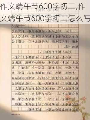 作文端午节600字初二,作文端午节600字初二怎么写